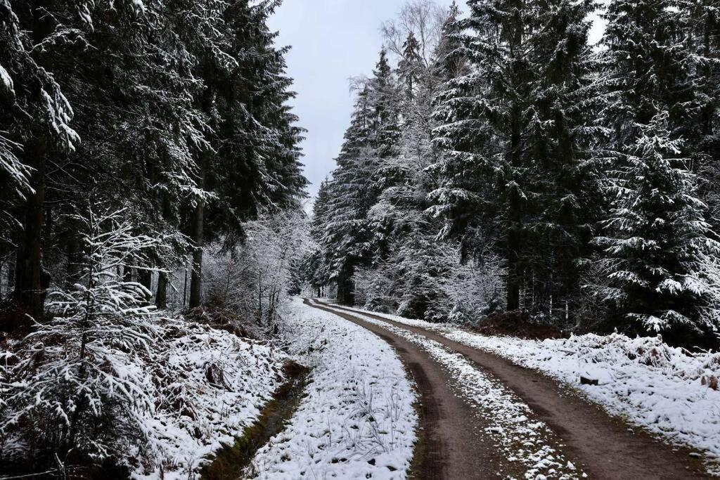 Altes Zollhaus Apartman Hallschlag Kültér fotó